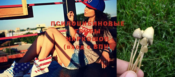 молекула духа Беломорск