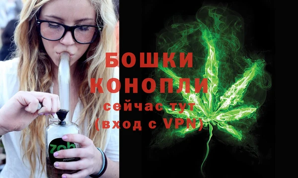2c-b Белокуриха