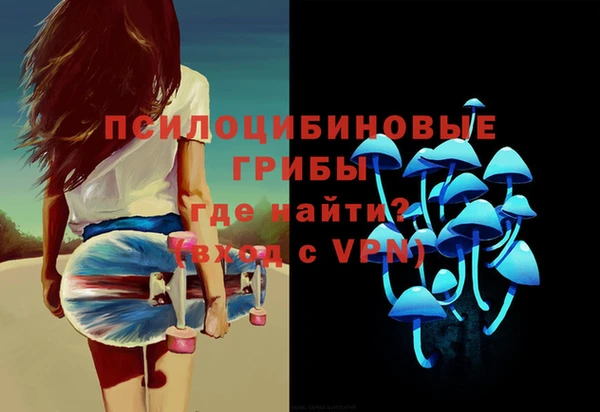 2c-b Белокуриха