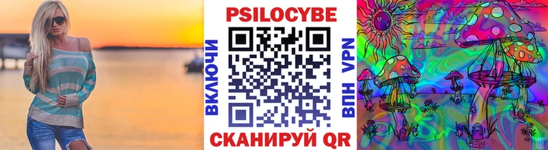Псилоцибиновые грибы Psilocybine cubensis  Лыткарино 