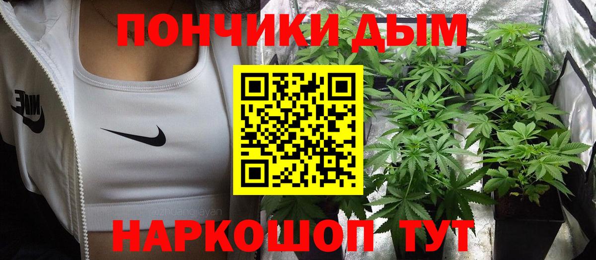 Каннабис план Лыткарино
